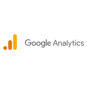 Google Analyst